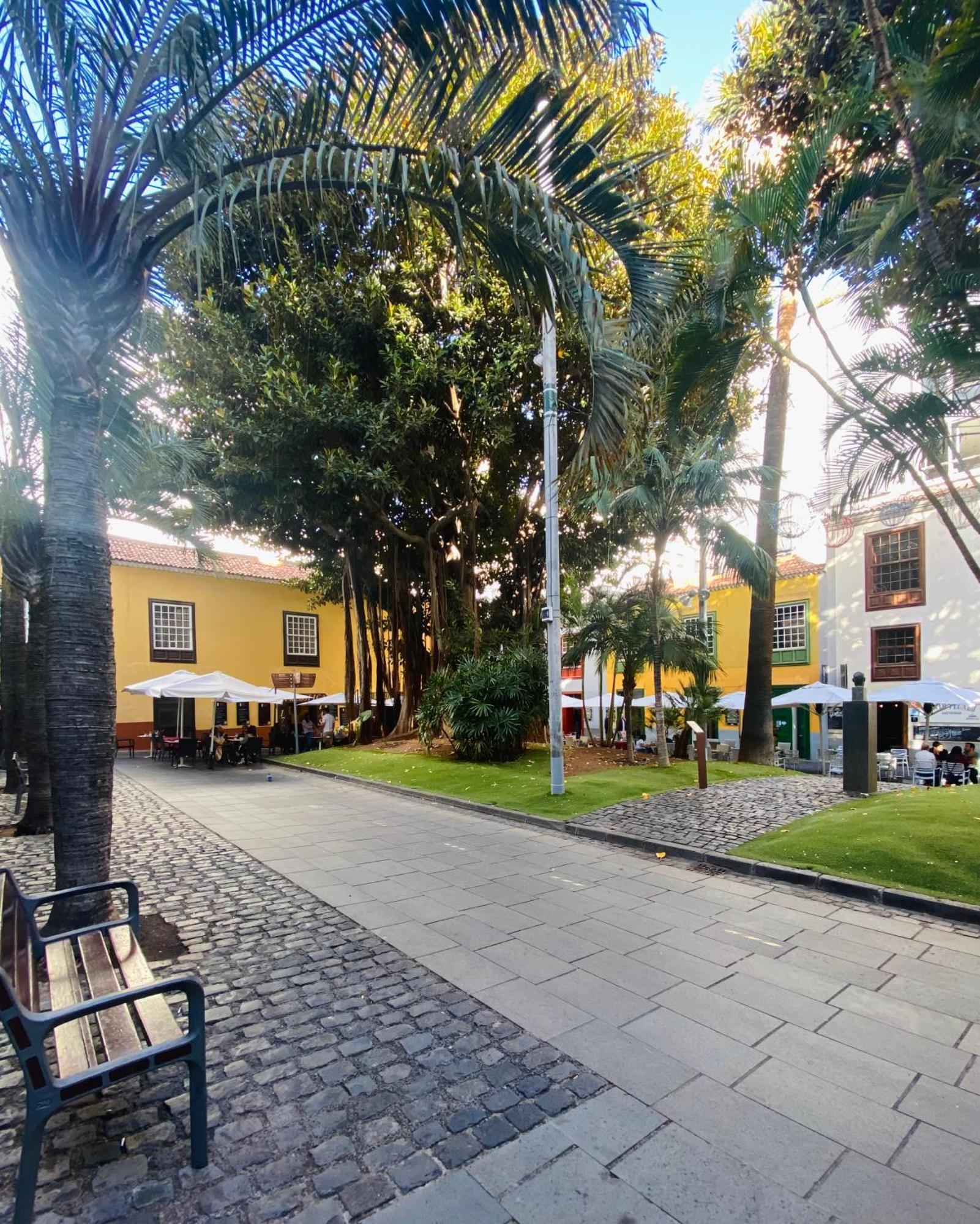 Macaronesia Home Santa Cruz de Tenerife Exterior foto